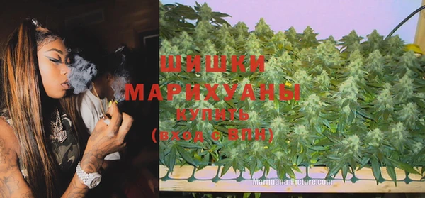 гидра Балахна